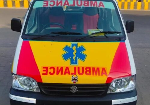 WhatsApp Image 2025-03-11 at 10.31.13